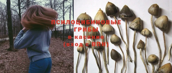 дурь Белокуриха