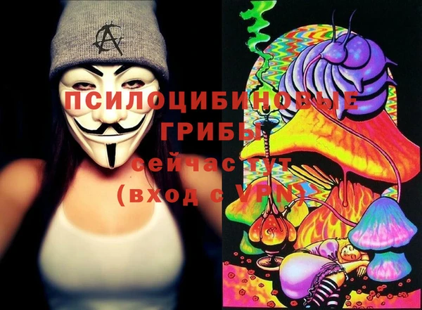 дурь Белокуриха