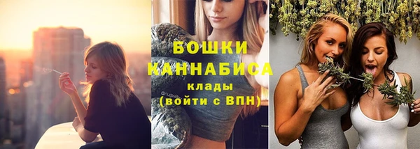 сатива Белоозёрский